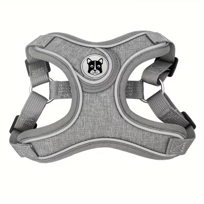 Adventure-Fit Reflective Harness & Lead Set